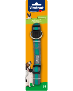 Hundehalsband Standard, 20 mm, M-L