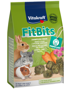 Fit Bits