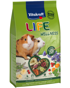 LIFE Wellness