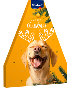 Adventskalender für Hunde
