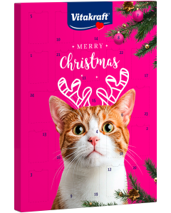 Adventskalender für Katzen
