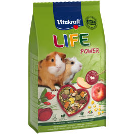 Produkt-Bild zu LIFE Power