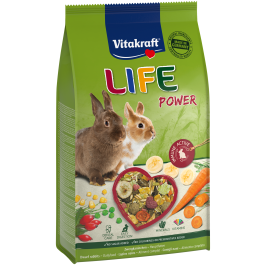 Produkt-Bild zu LIFE Power