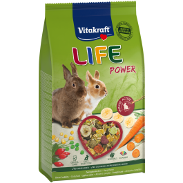 Product-Image for LIFE Power