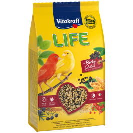 Produkt-Bild zu LIFE